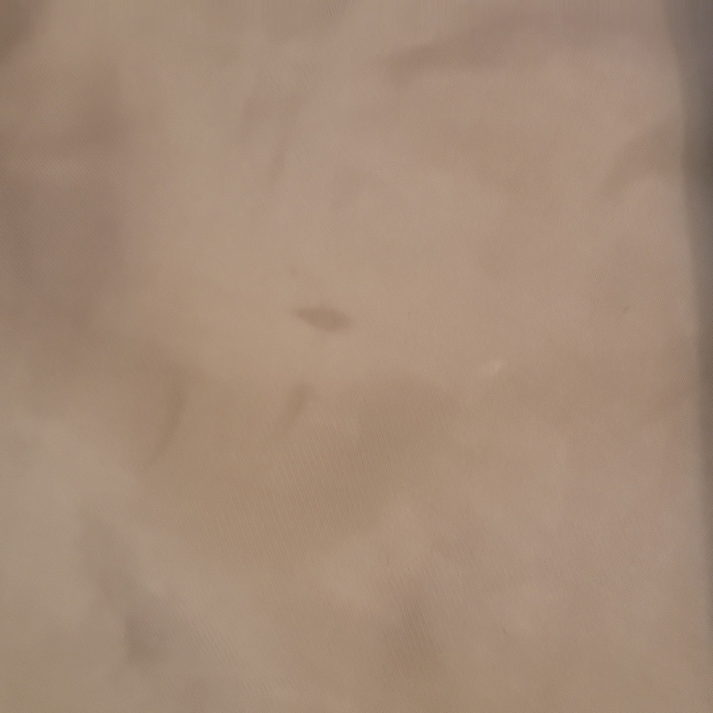 Allsaints Spitalfields Contour Dress in metallic Beige US 10 Japanese Cloth - Picture 12 of 13